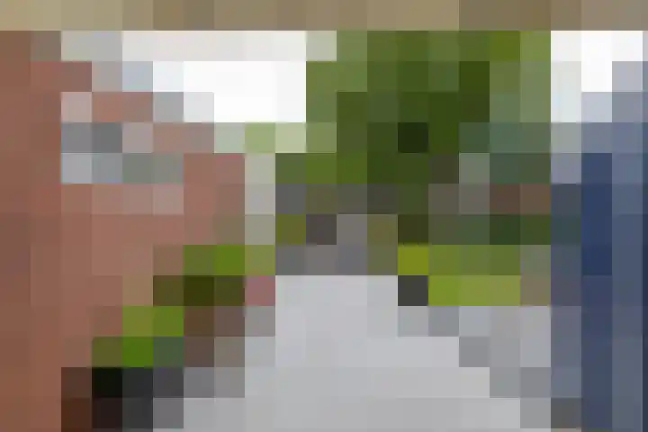 Violenstraat 64 Assen thumbnail 32