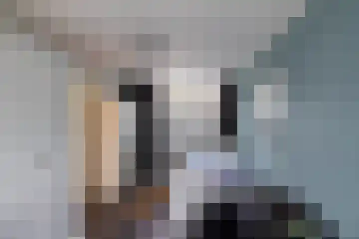 Violenstraat 64 Assen thumbnail 34