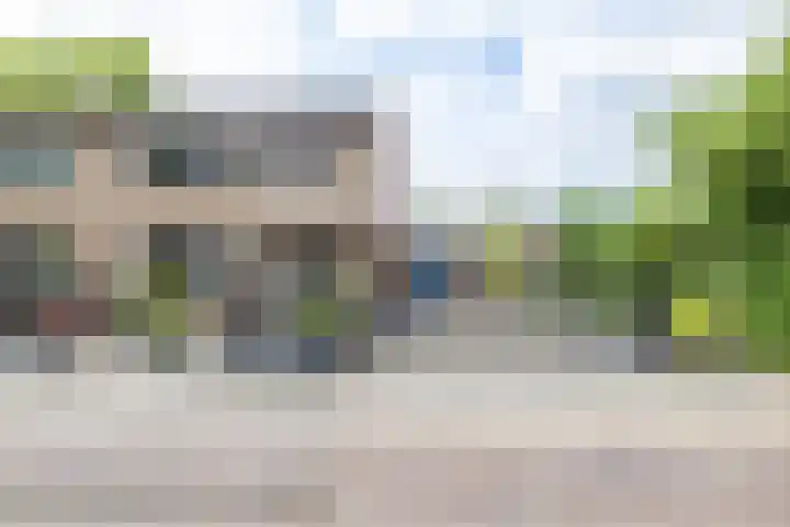 Violenstraat 64 Assen thumbnail 4