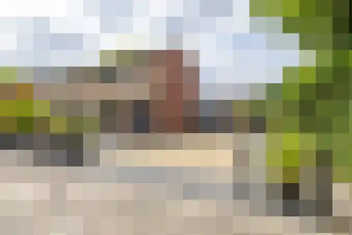 Violenstraat 64 Assen thumbnail 5