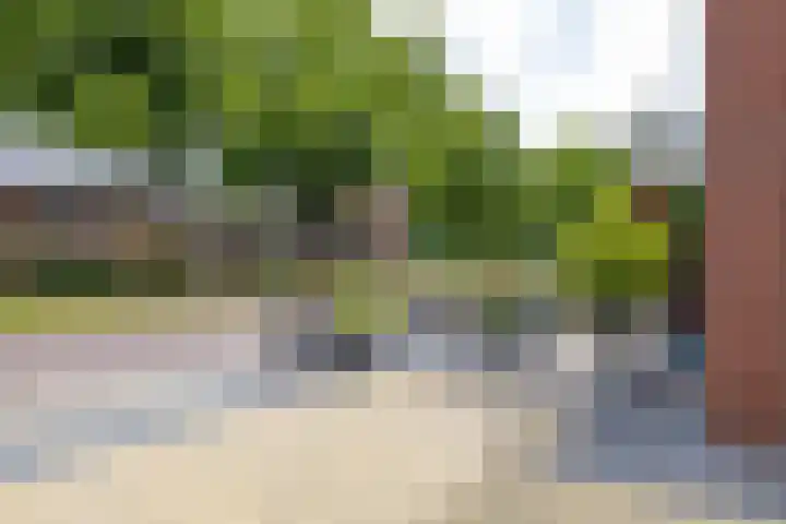 Violenstraat 64 Assen thumbnail 6