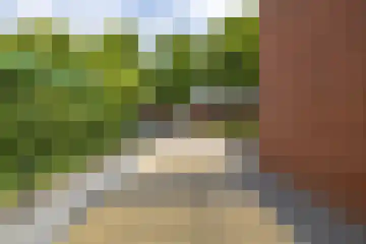 Violenstraat 64 Assen thumbnail 7
