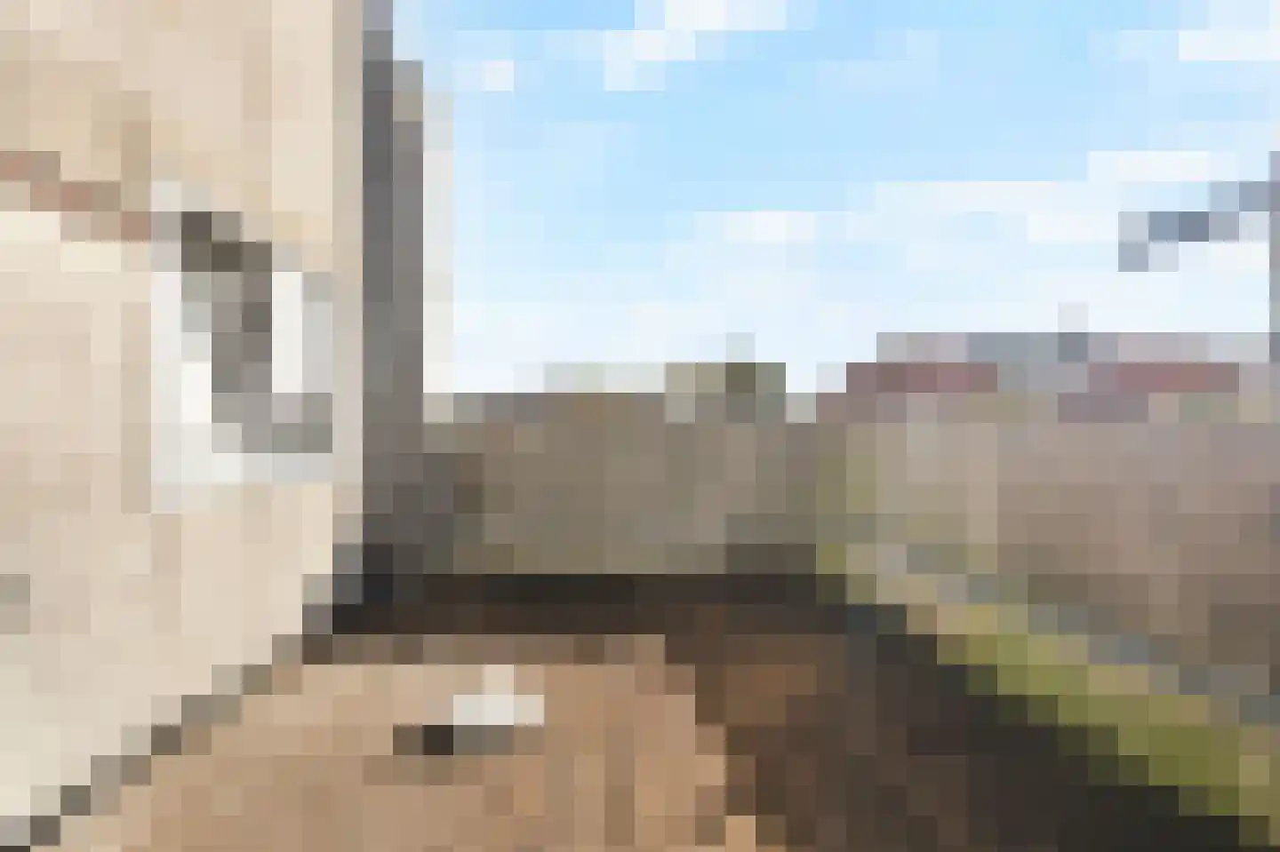Violenstraat 64 Den Helder thumbnail 22