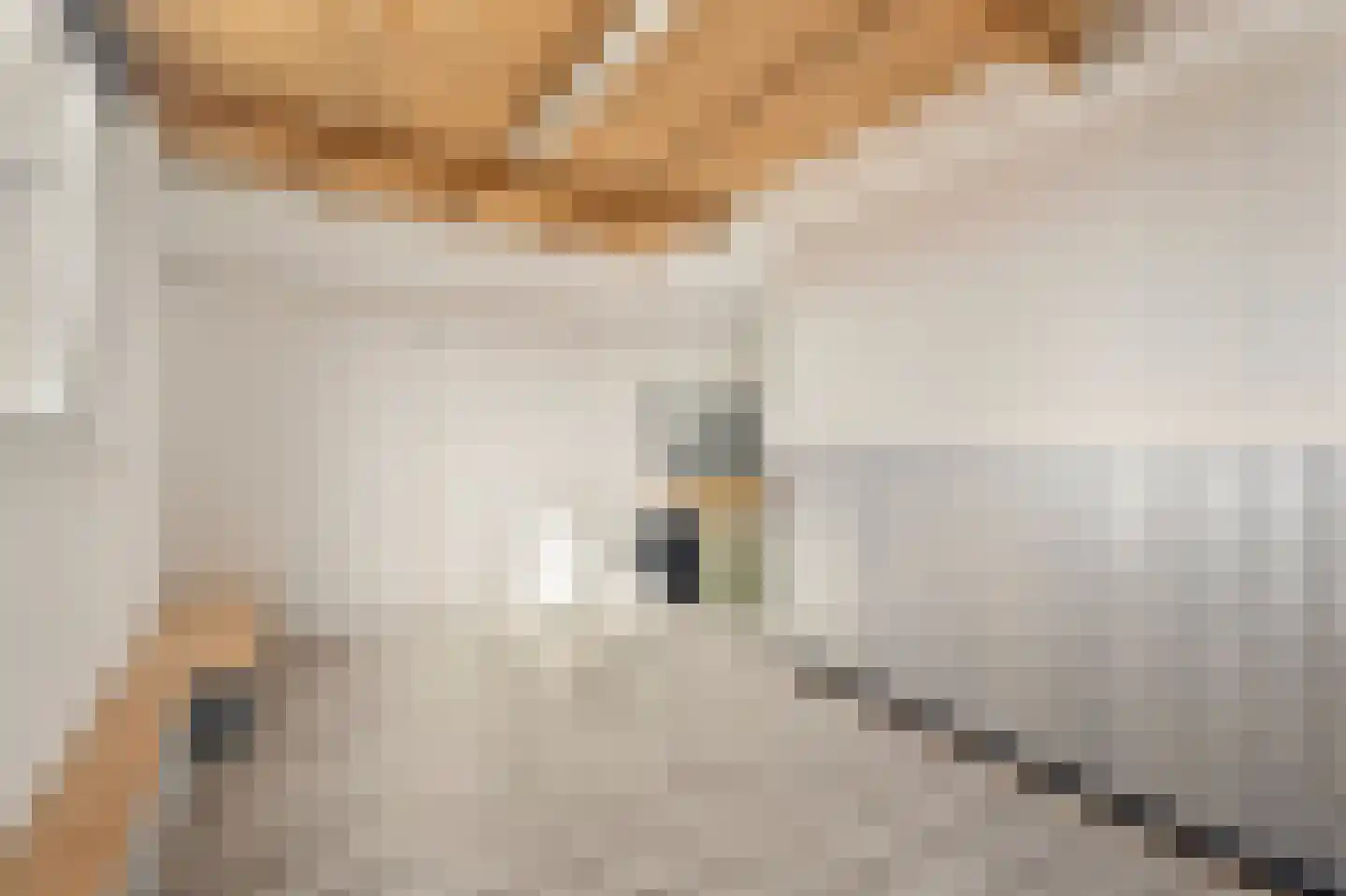 Violenstraat 64 Den Helder thumbnail 31