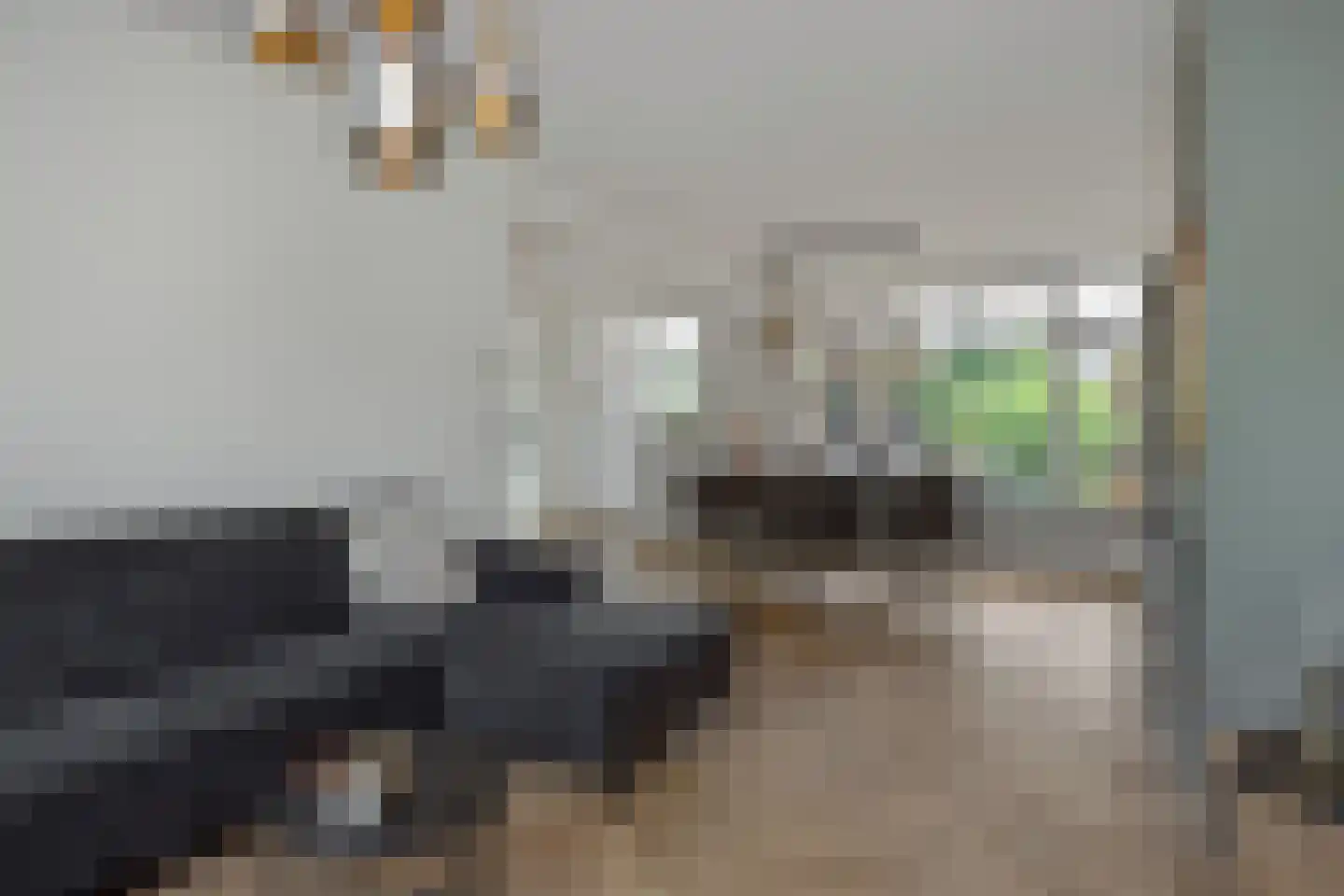 Violenstraat 7 Rosmalen thumbnail 10