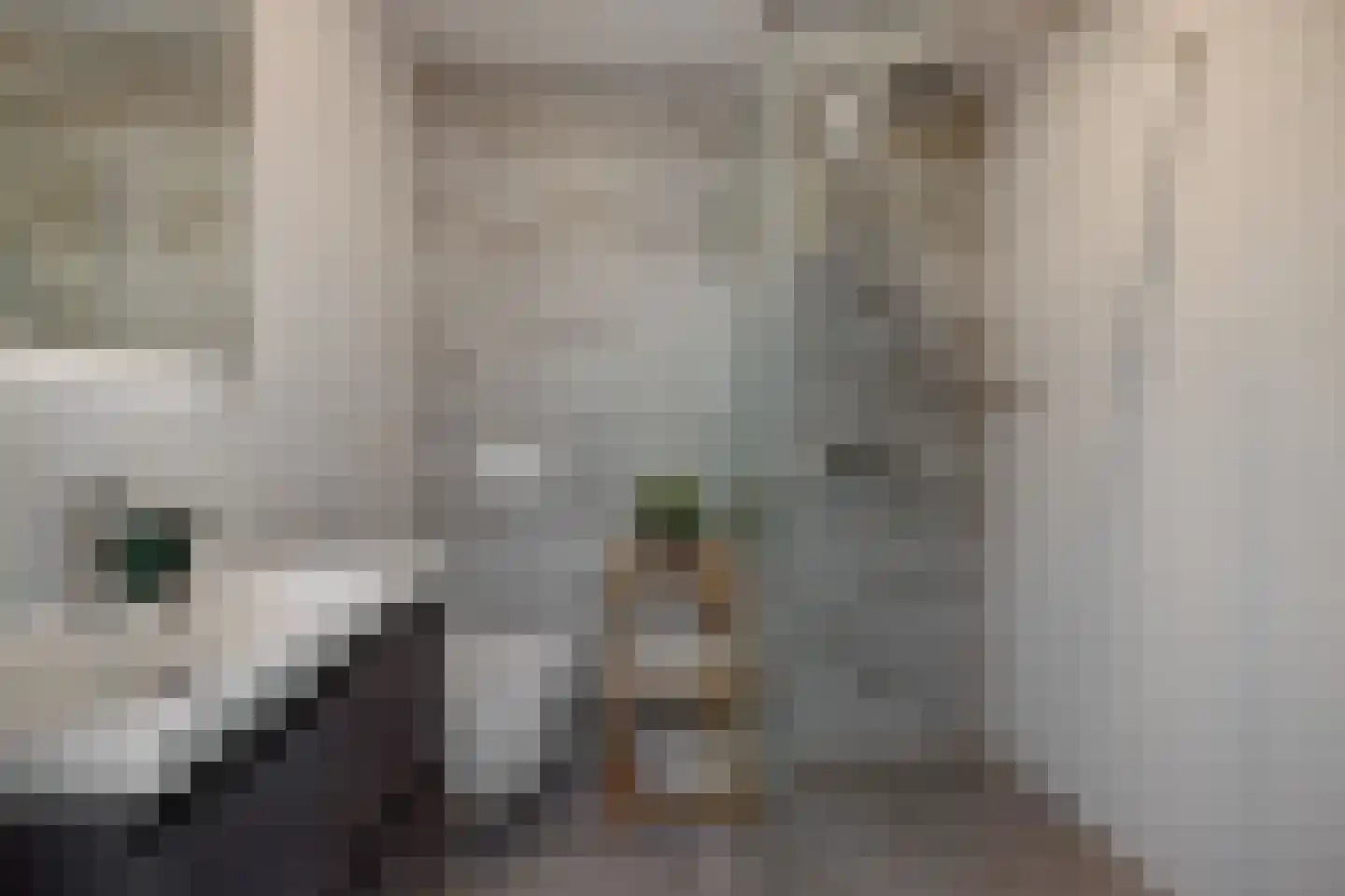 Violenstraat 7 Rosmalen thumbnail 26
