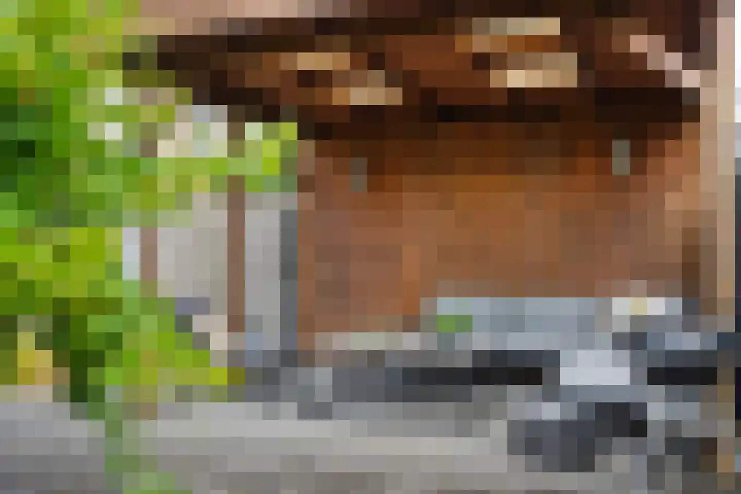 Violenstraat 7 Rosmalen thumbnail 31