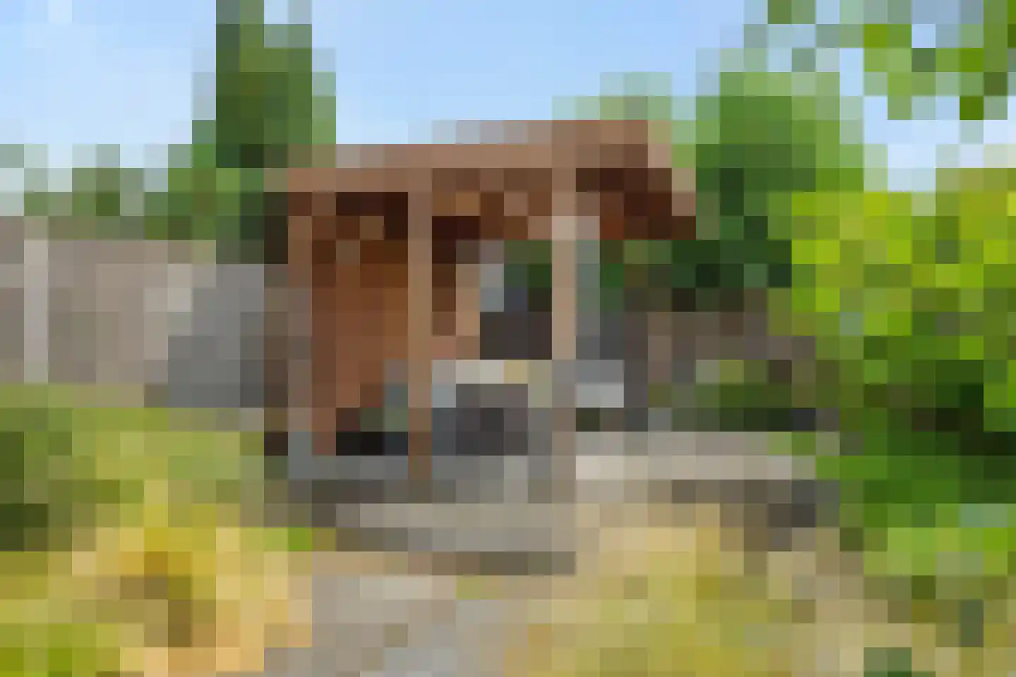 Violenstraat 7 Rosmalen thumbnail 34