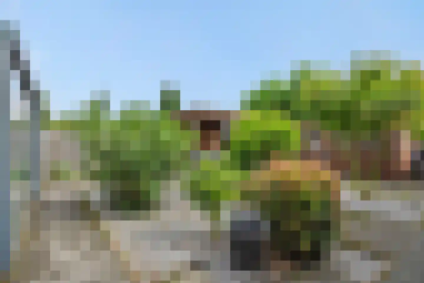 Violenstraat 7 Rosmalen thumbnail 35