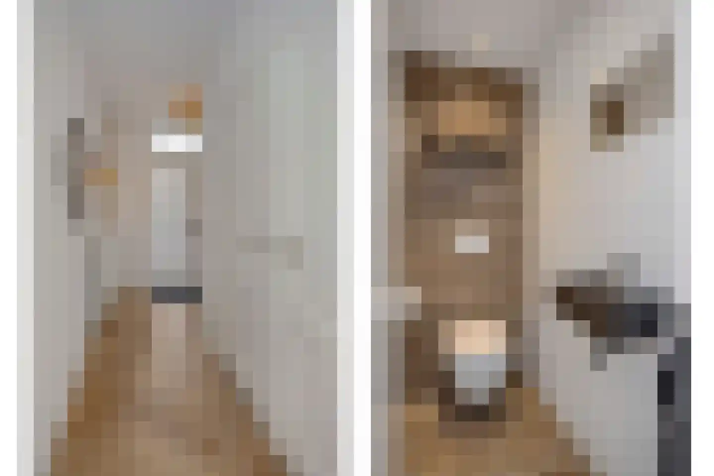 Violenstraat 7 Rosmalen thumbnail 6