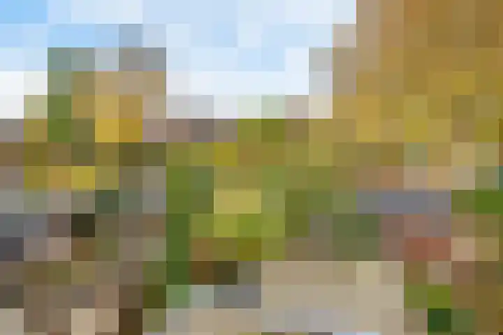 Violenstraat 73 Hilversum thumbnail 25