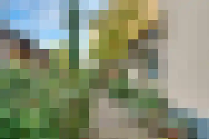 Violenstraat 73 Hilversum thumbnail 26