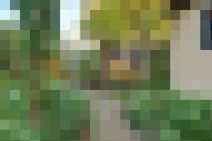 Violenstraat 73 Hilversum thumbnail 31