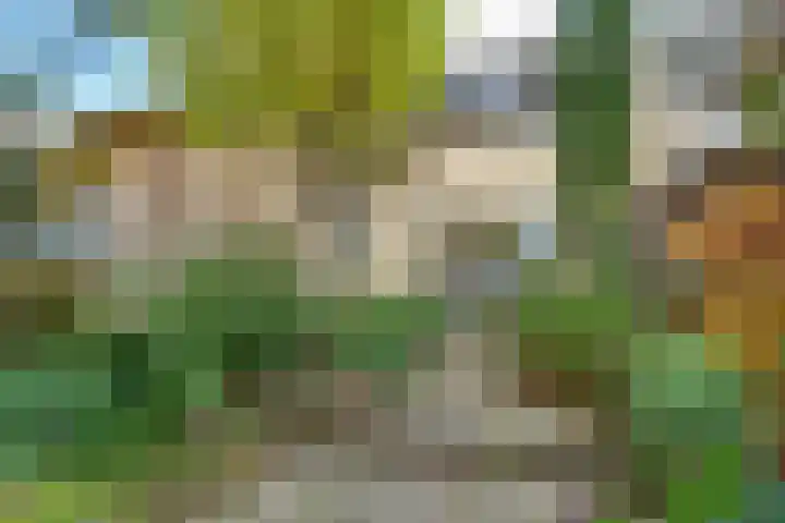 Violenstraat 73 Hilversum thumbnail 33