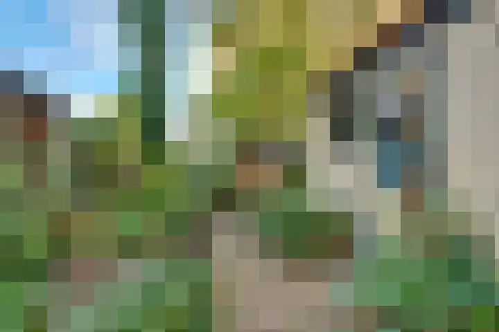Violenstraat 73 Hilversum thumbnail 35