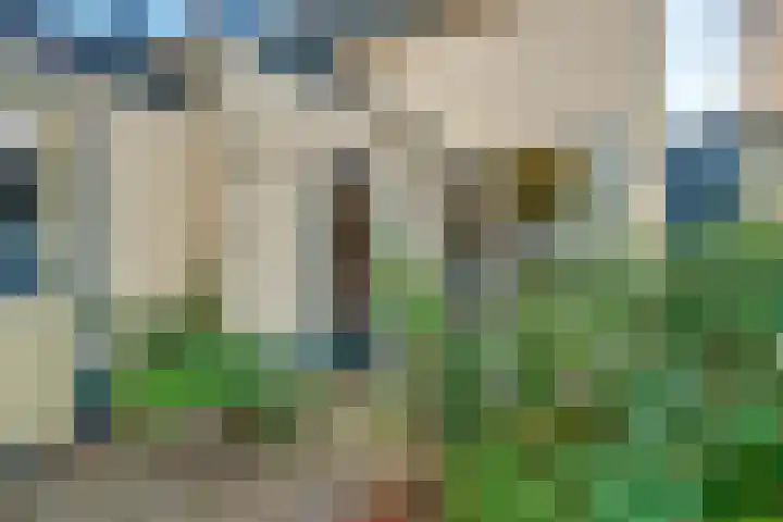 Violenstraat 73 Hilversum thumbnail 37