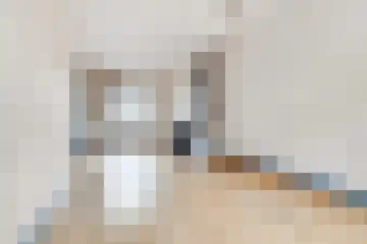 Violenstraat 73 Hilversum thumbnail 6