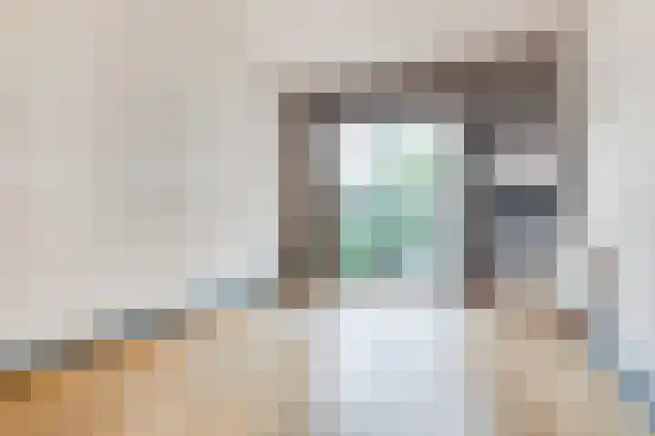 Violenstraat 73 Hilversum thumbnail 8