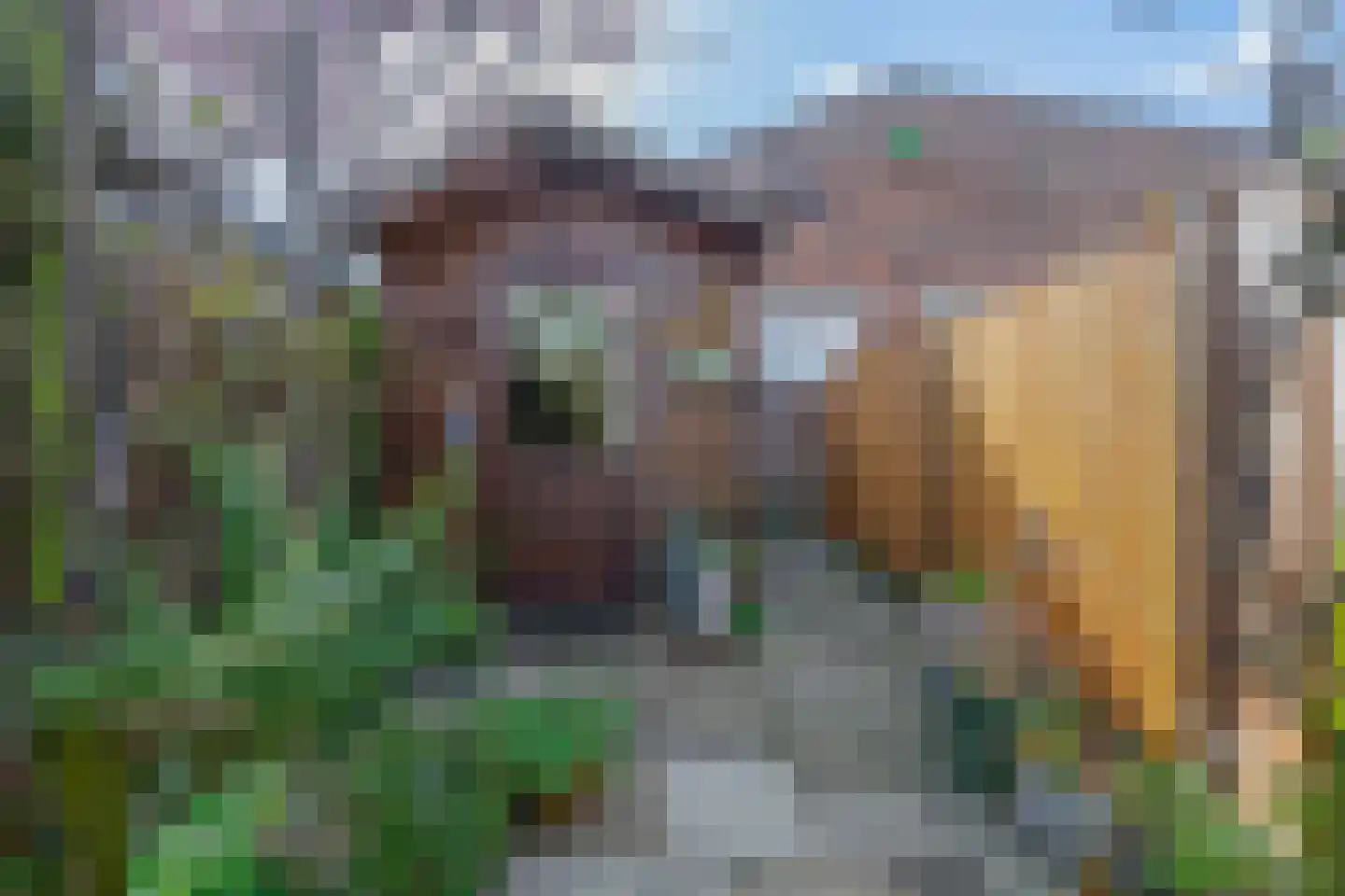 Violenstraat 78 Den Helder thumbnail 23