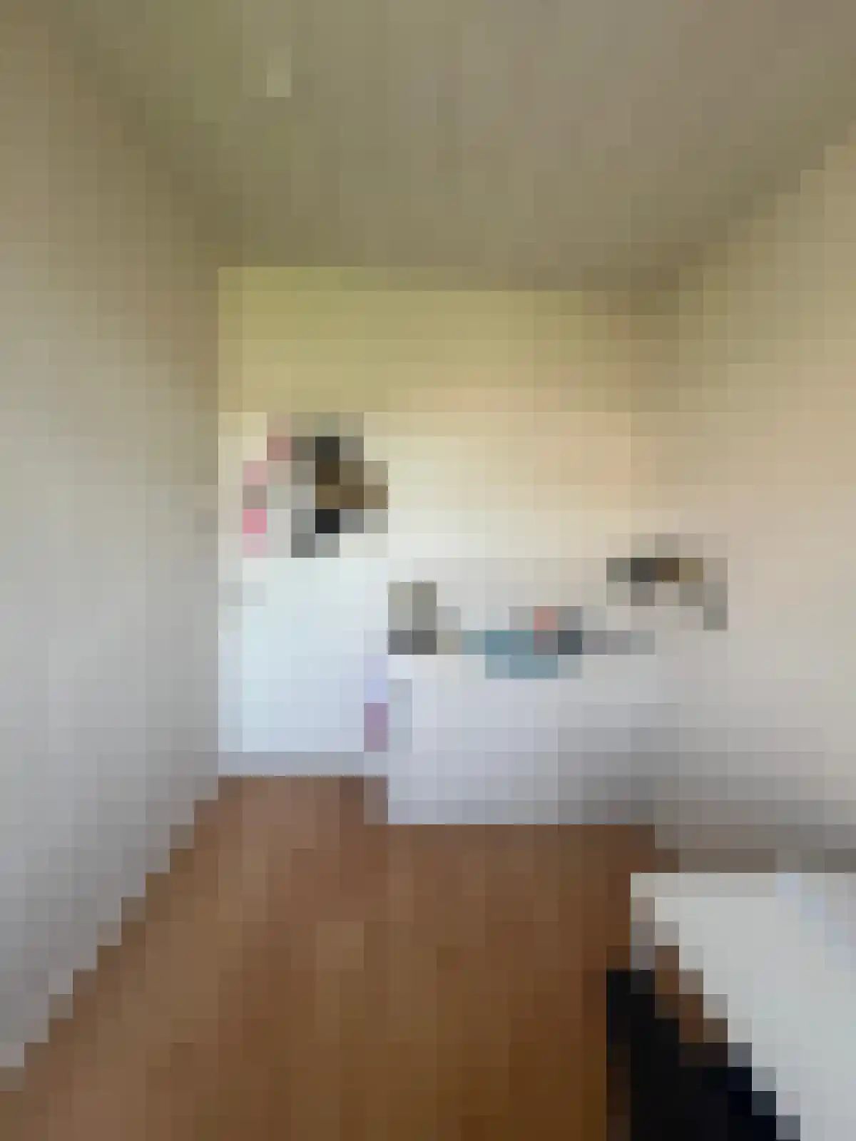 Violenstraat Groningen thumbnail 4