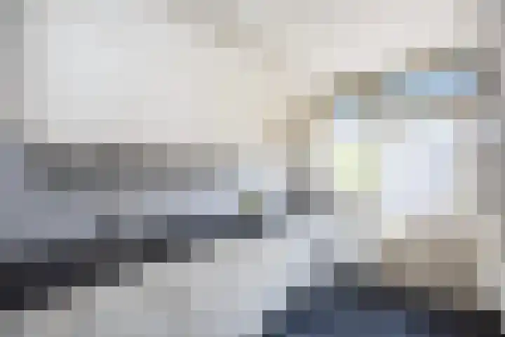 Violenweg 15 Zwolle thumbnail 10