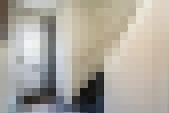Violenweg 15 Zwolle thumbnail 11