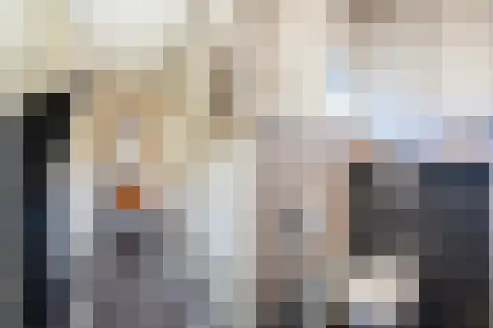 Violenweg 15 Zwolle thumbnail 12