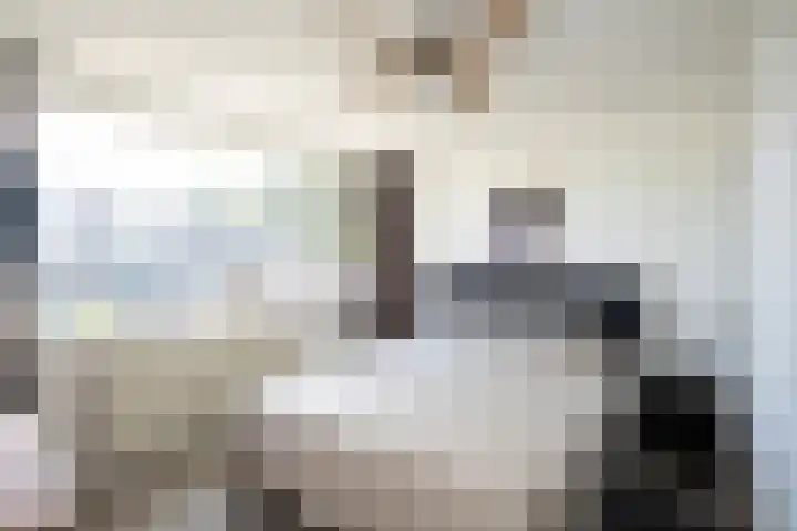 Violenweg 15 Zwolle thumbnail 14