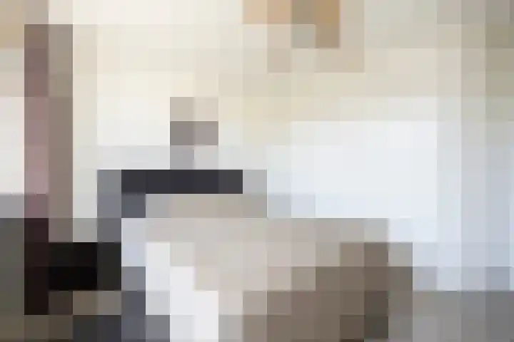 Violenweg 15 Zwolle thumbnail 15