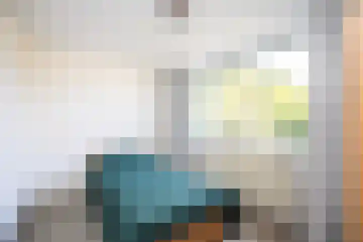 Violenweg 15 Zwolle thumbnail 16