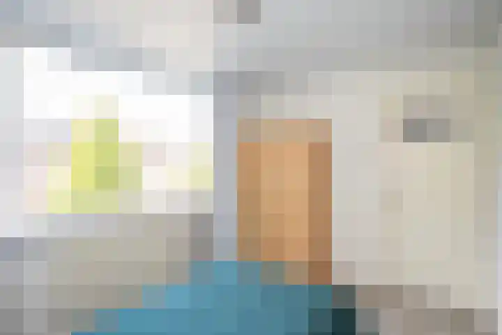 Violenweg 15 Zwolle thumbnail 17