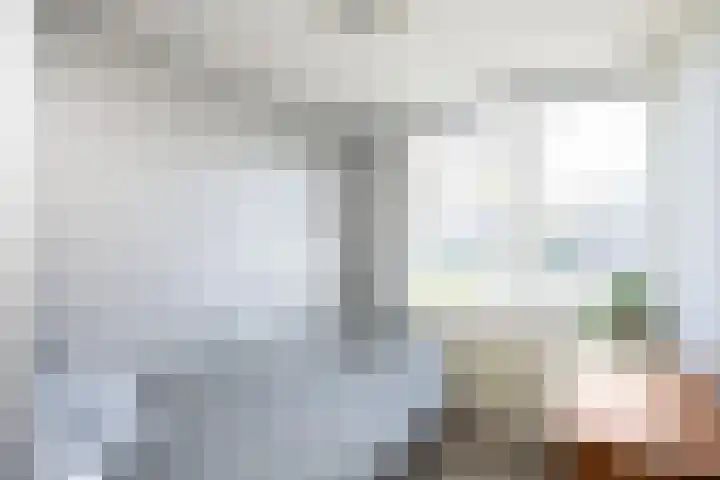 Violenweg 15 Zwolle thumbnail 18