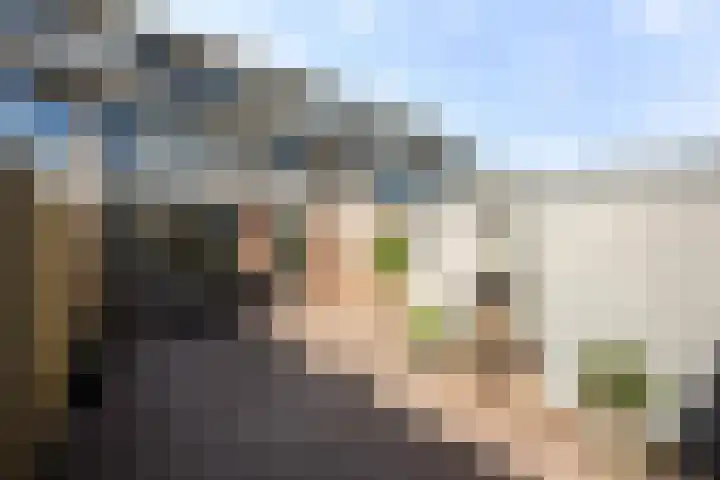 Violenweg 15 Zwolle thumbnail 23