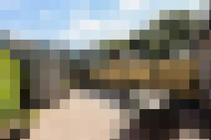 Violenweg 15 Zwolle thumbnail 24