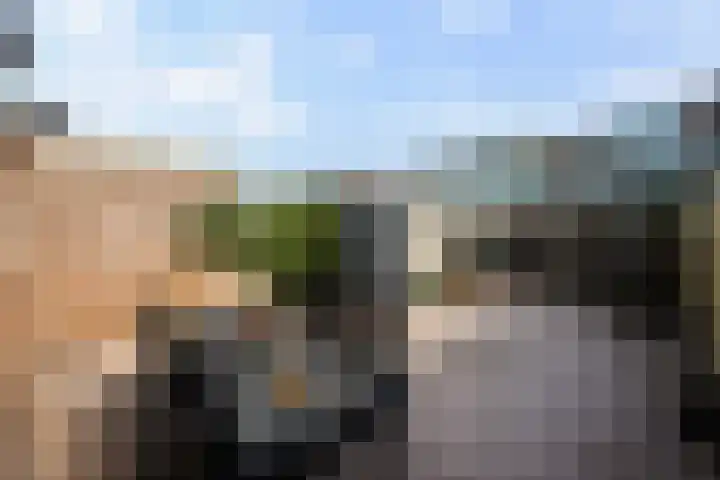 Violenweg 15 Zwolle thumbnail 25