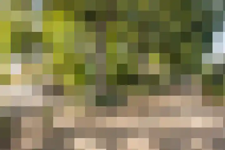 Violenweg 15 Zwolle thumbnail 26