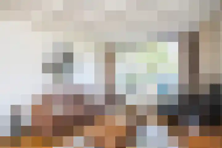 Violenweg 15 Zwolle thumbnail 4