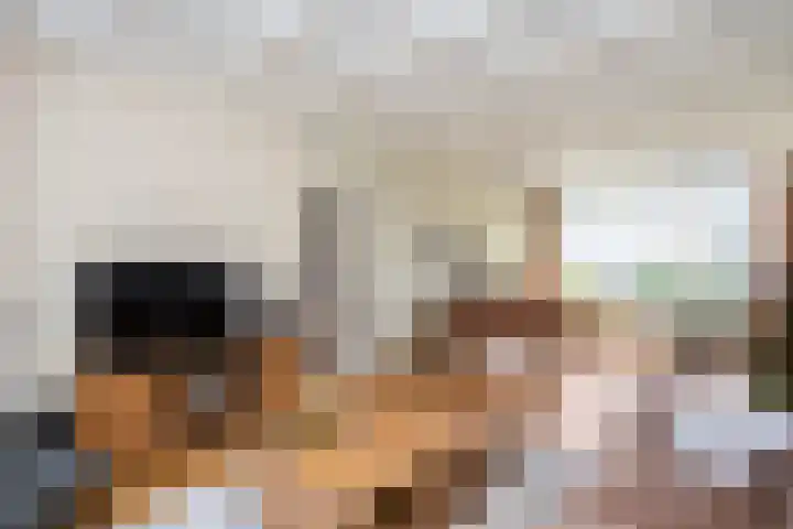 Violenweg 15 Zwolle thumbnail 5