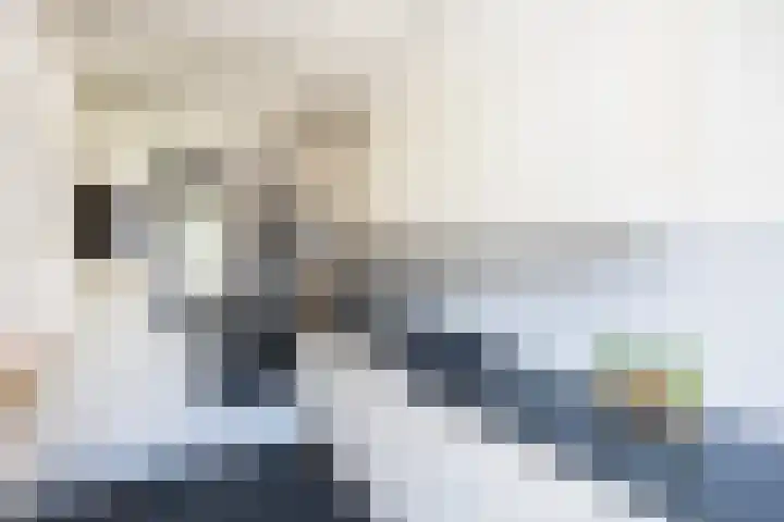 Violenweg 15 Zwolle thumbnail 9