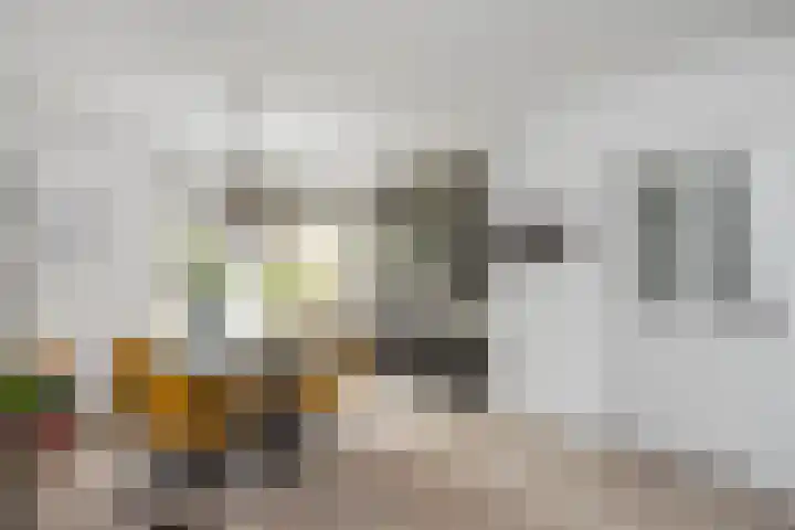 Violenweg 20 Zwolle thumbnail 10