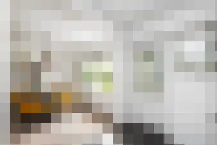 Violenweg 20 Zwolle thumbnail 11