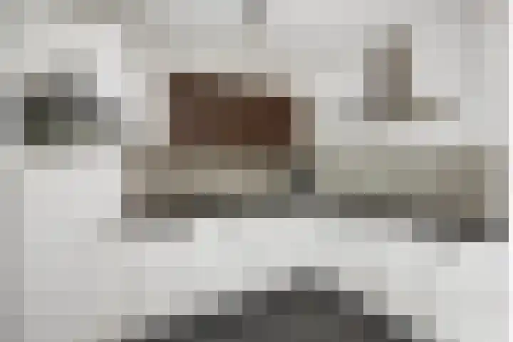 Violenweg 20 Zwolle thumbnail 13