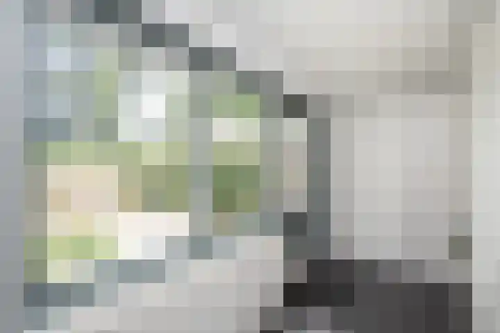 Violenweg 20 Zwolle thumbnail 14