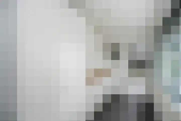 Violenweg 20 Zwolle thumbnail 15