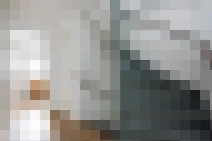 Violenweg 20 Zwolle thumbnail 16