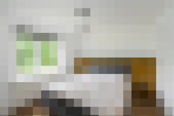 Violenweg 20 Zwolle thumbnail 20
