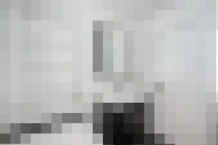 Violenweg 20 Zwolle thumbnail 23