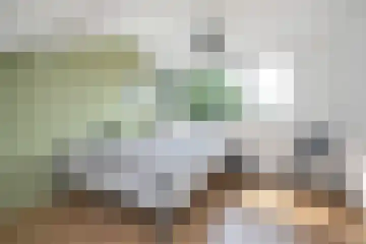 Violenweg 20 Zwolle thumbnail 25