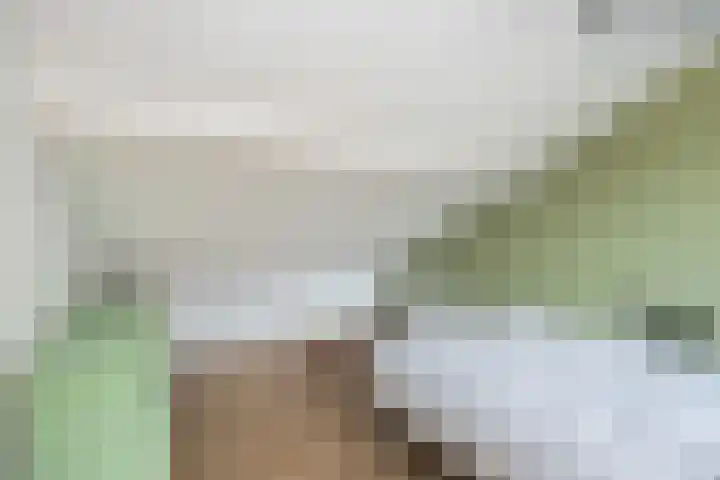 Violenweg 20 Zwolle thumbnail 26