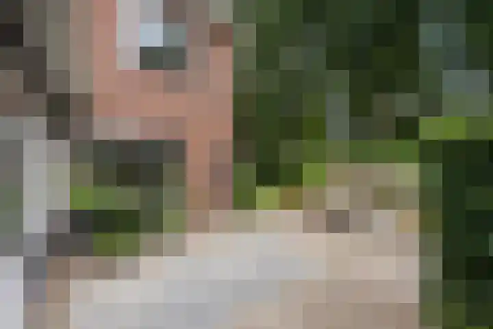 Violenweg 20 Zwolle thumbnail 27